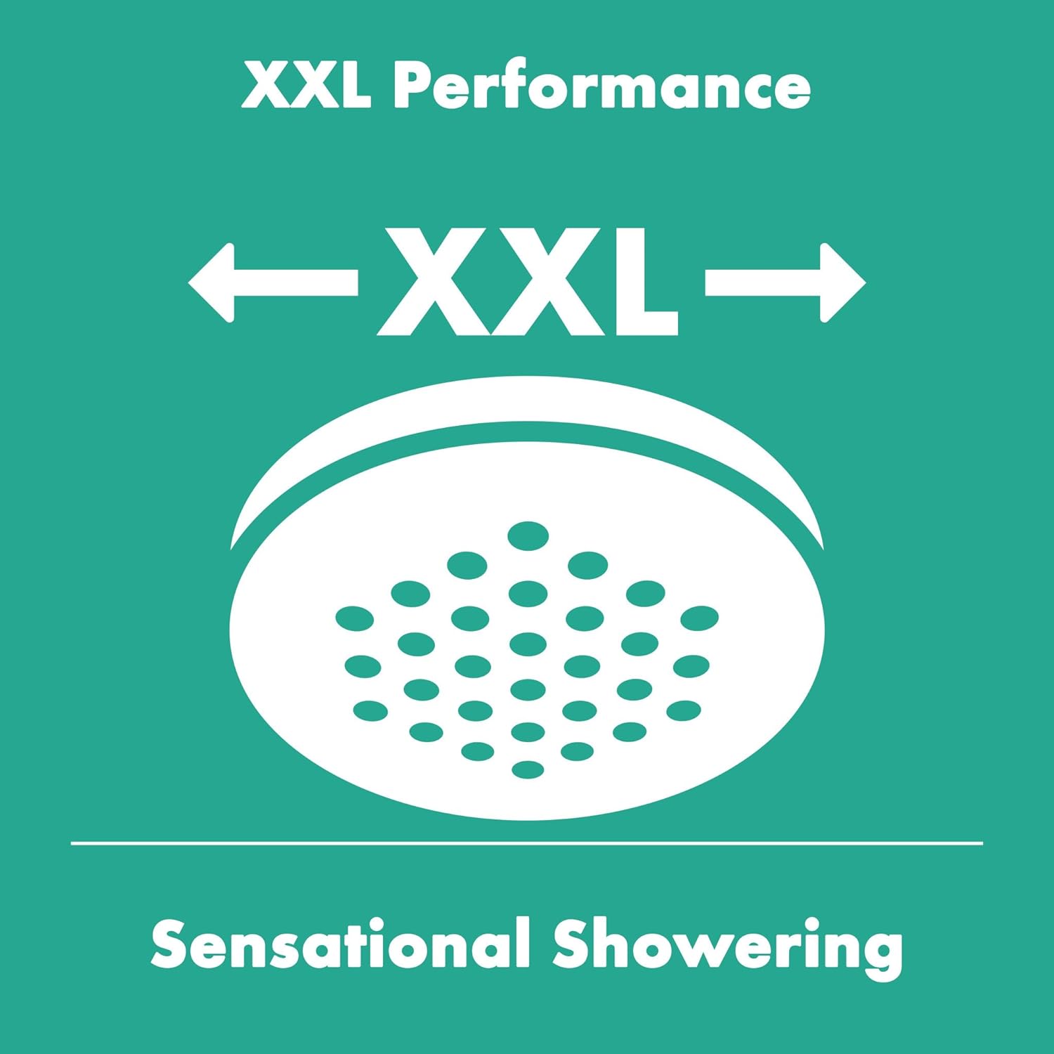 Hansgrohe Crometta - Douchette 100, 2 jets, blanc/chrome 26330400